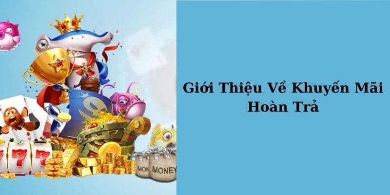 Thông tin về Hello88 khuyến mãi hoàn cược cho hội viên