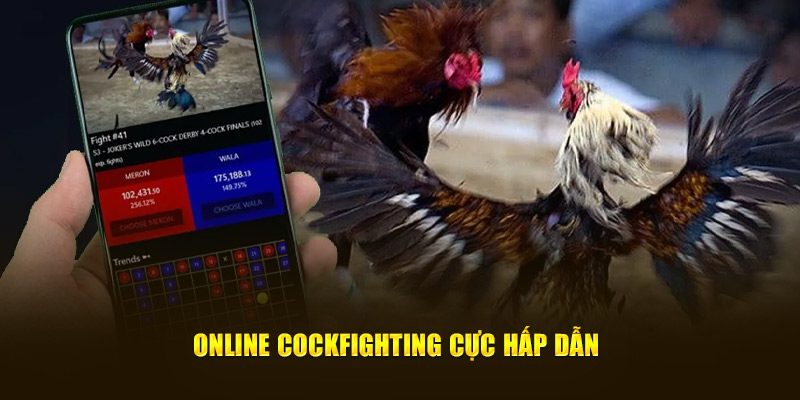 Online Cockfighting cực hấp dẫn